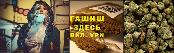 гидра Балахна