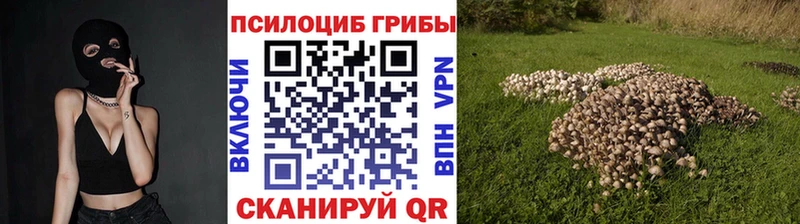 Купить закладки  Покачи  Псилоцибиновые грибы прущие грибы 